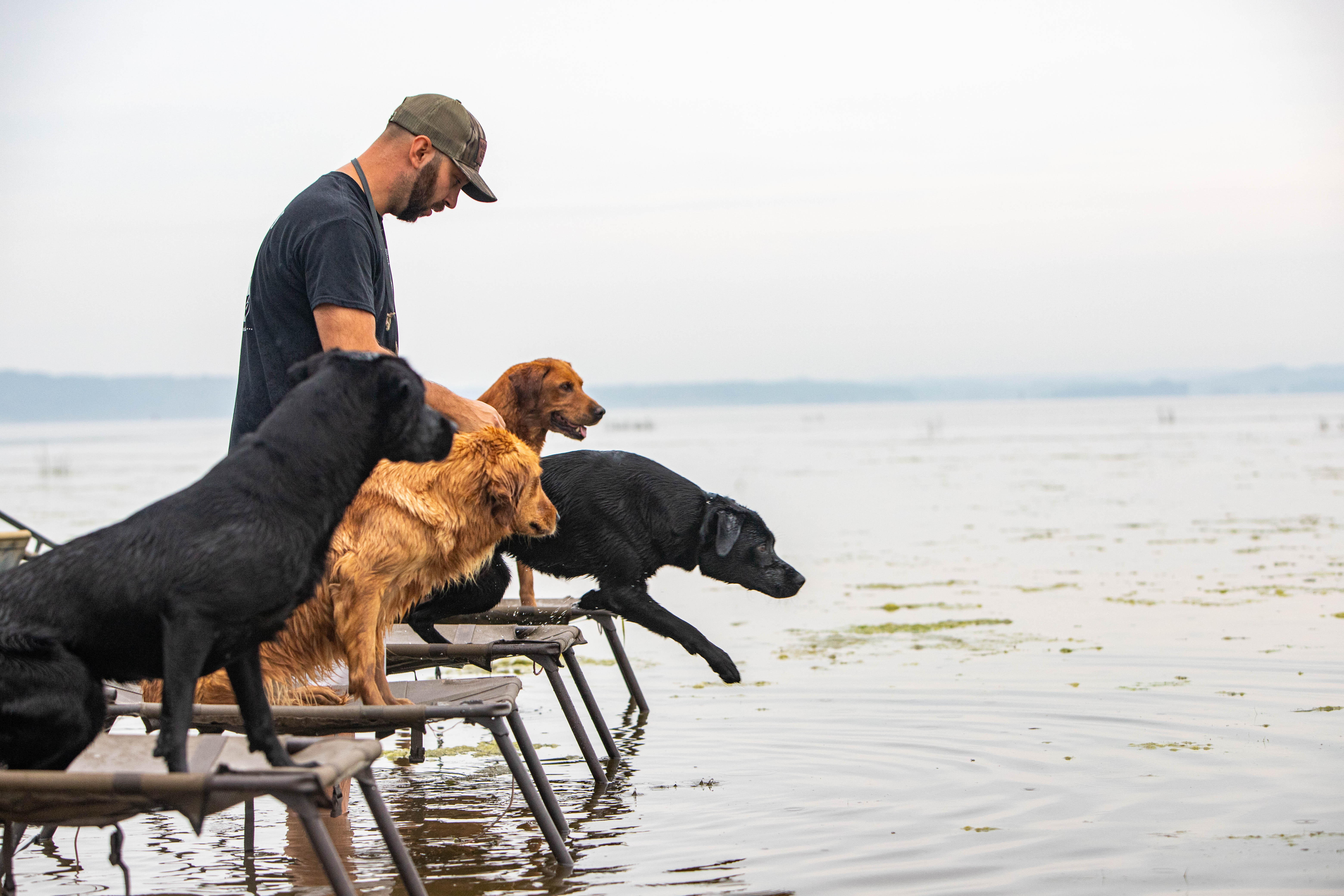 Trainer with retrievers on dock