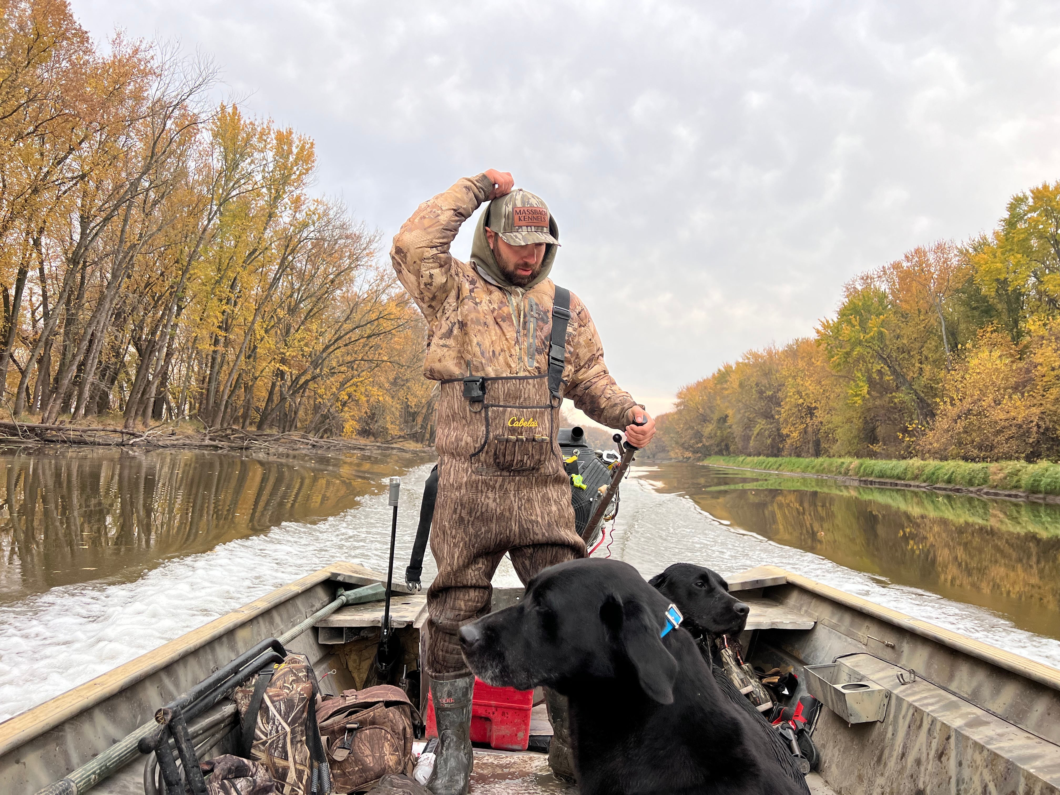 Black Labs for Sale Mt. Carroll, Illinois