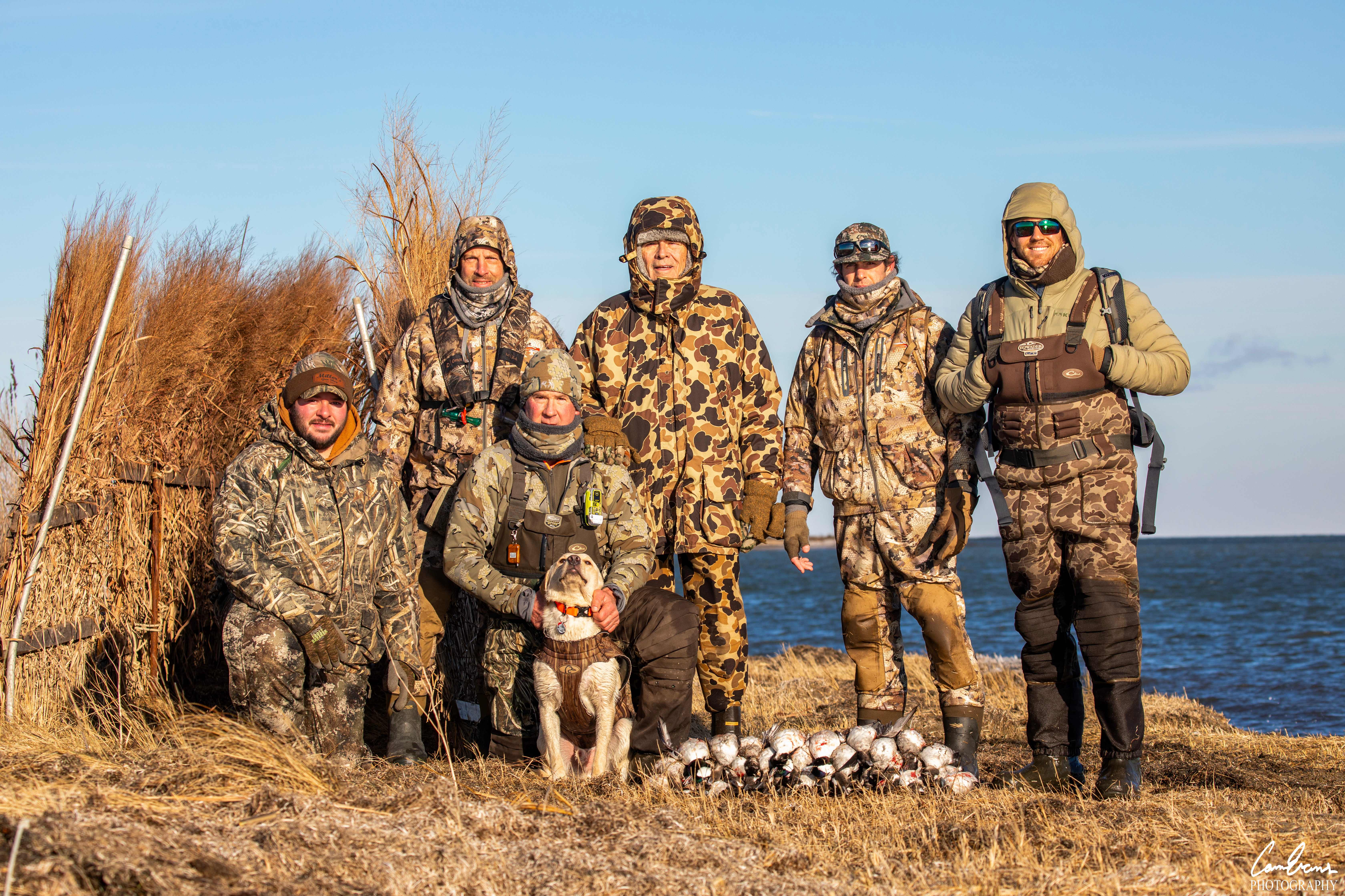 Massbach Kennels — Labrador Retriever Breeders in Mt. Carroll, Illinois