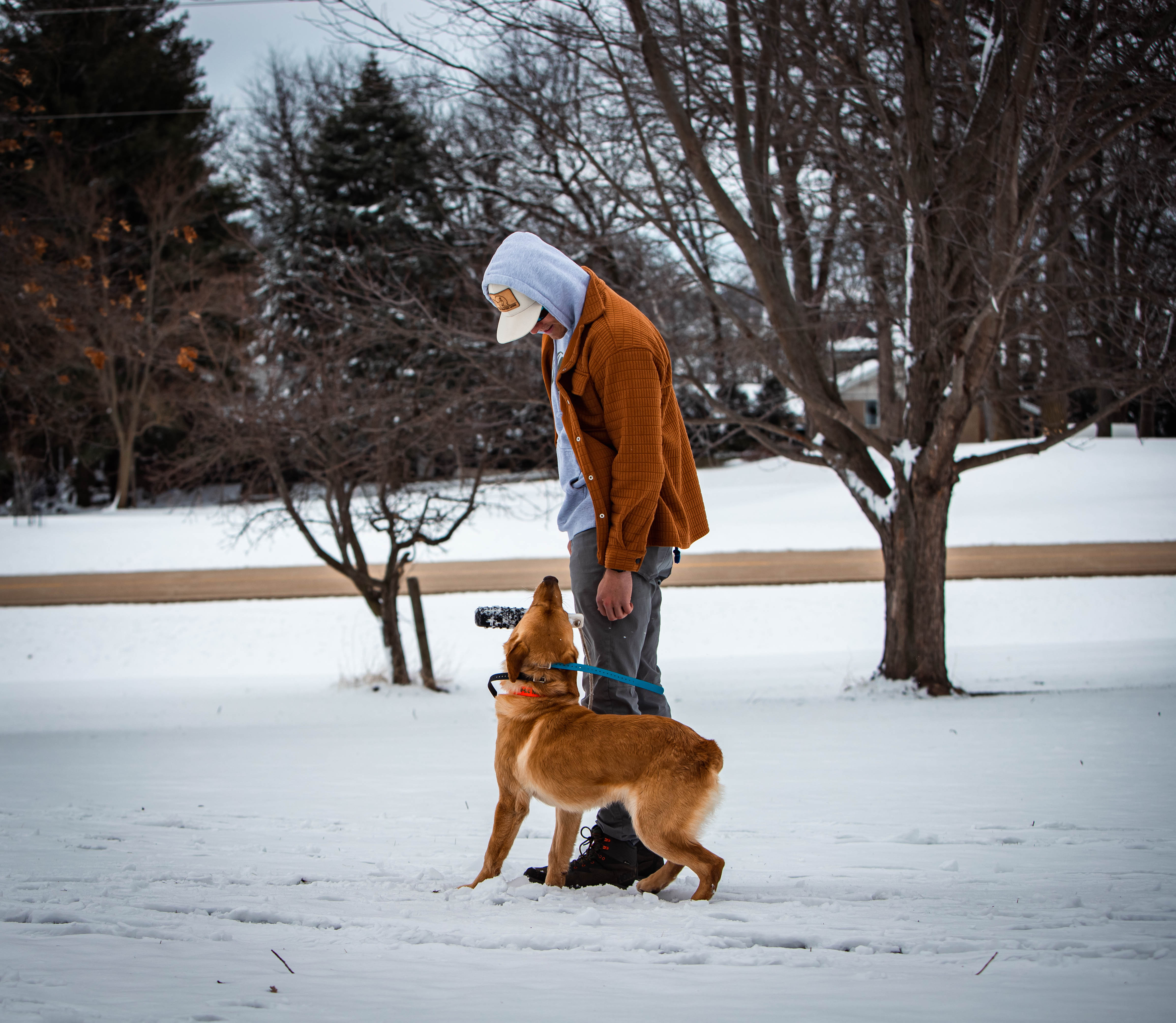 Trainer with dog during winter training