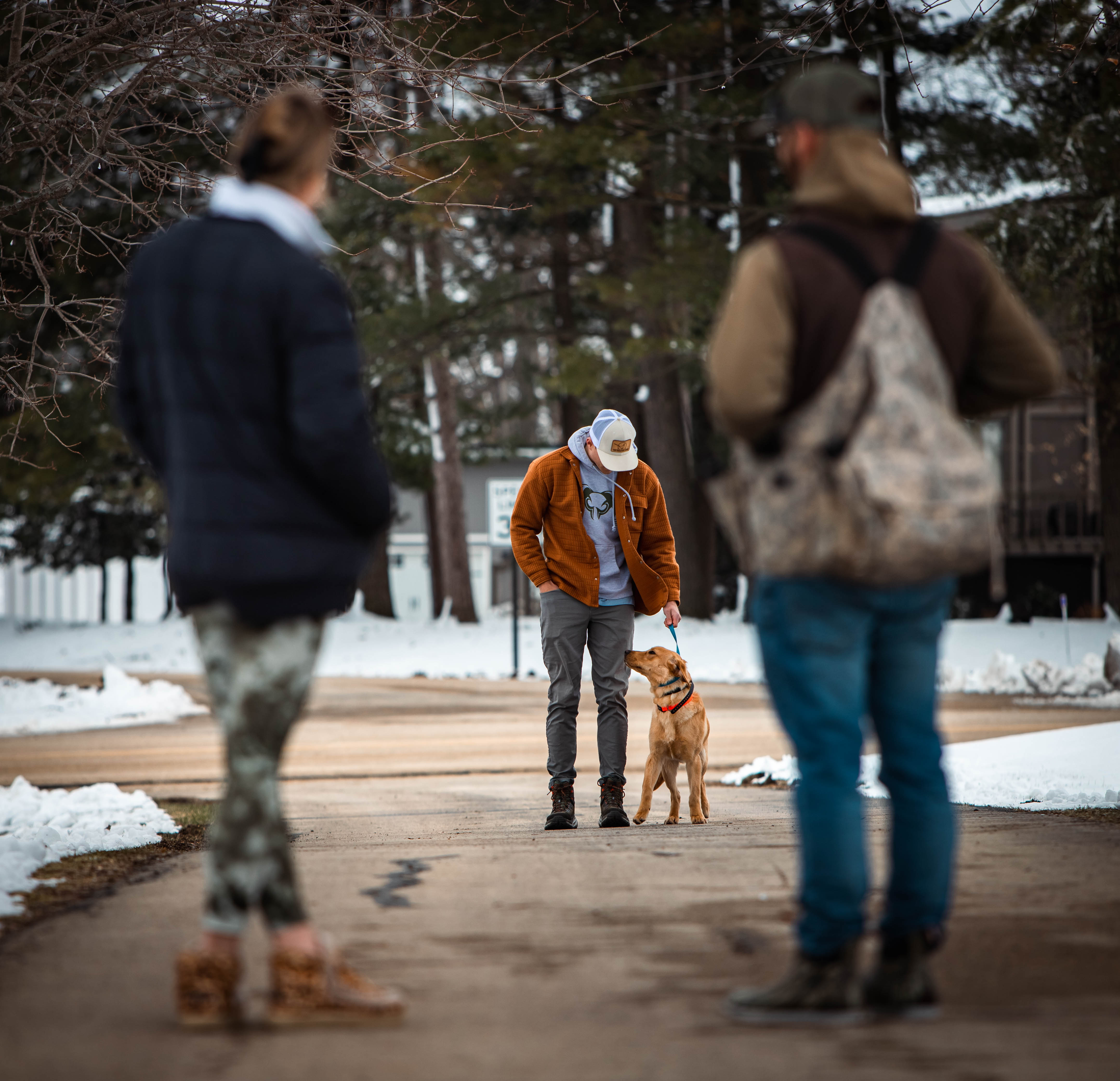 Advanced retriever training session